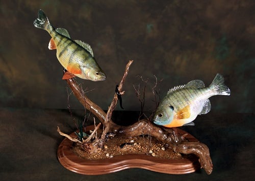 Promotional image