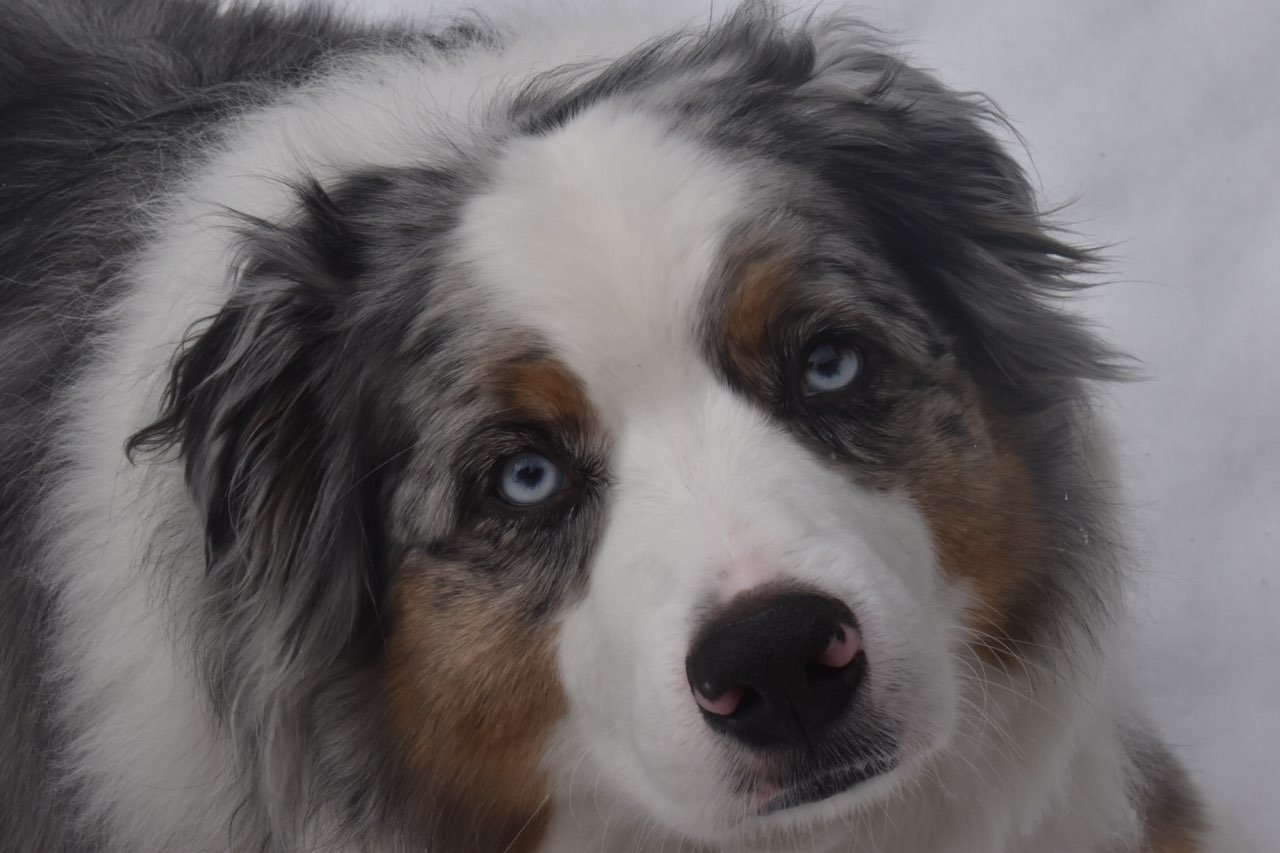Cooper 2018 photos by Kate Byrd