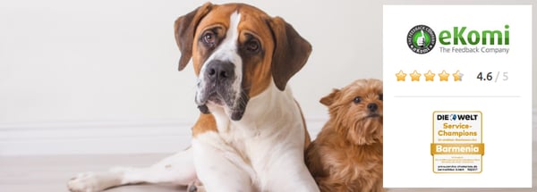 Hunde- und Katzen-Krankenversicherung