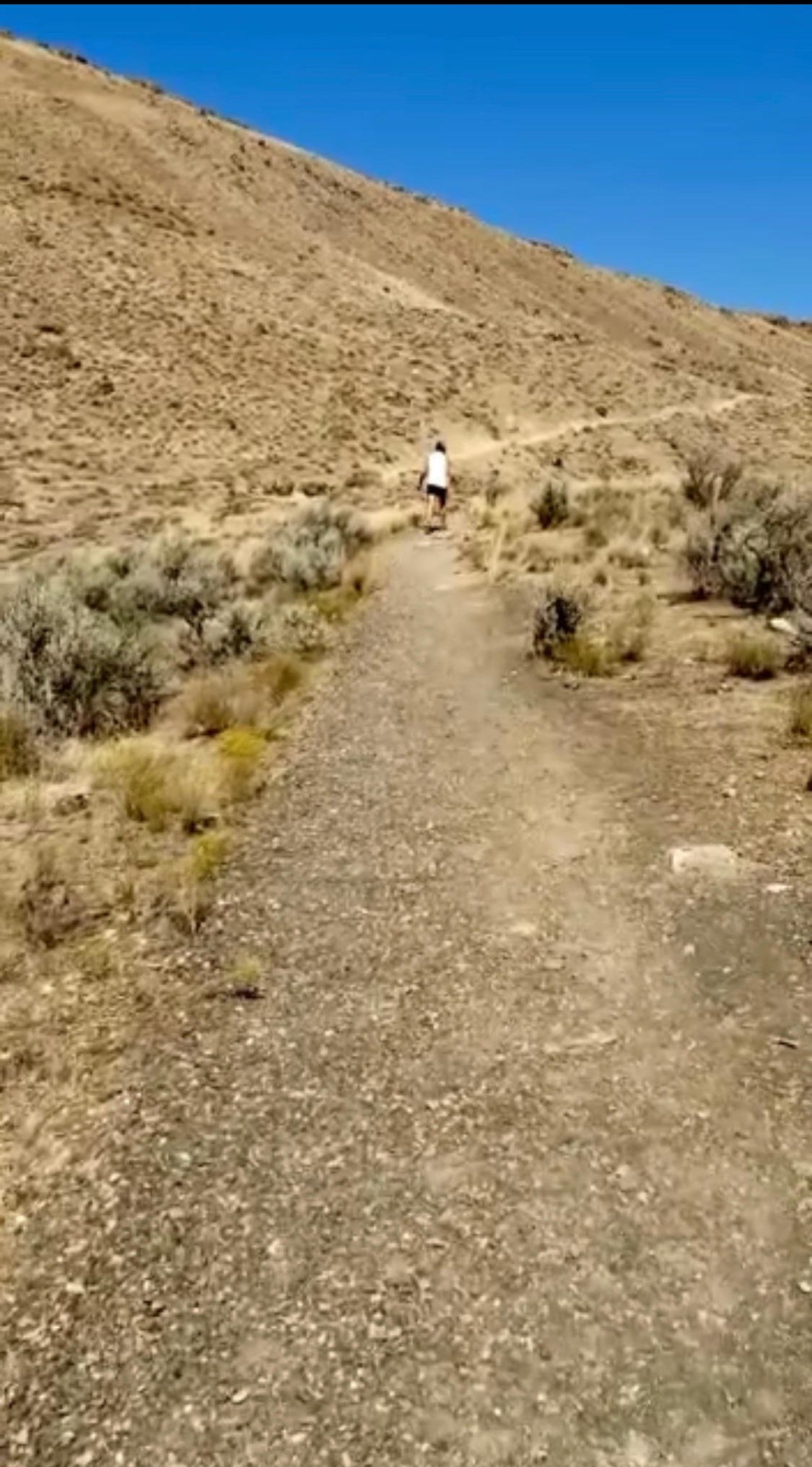 We can help make your journey less daunting so you can find the right insurance.