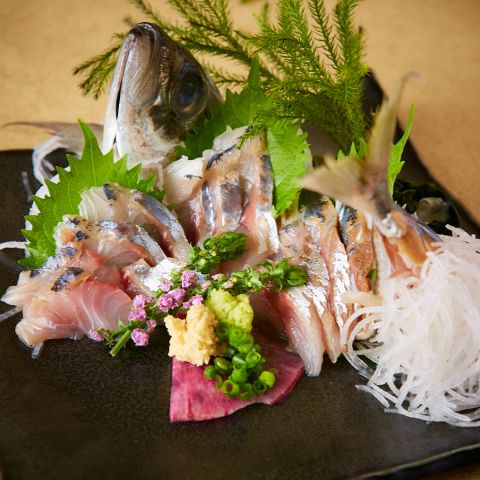 旬の鮮魚 お刺身