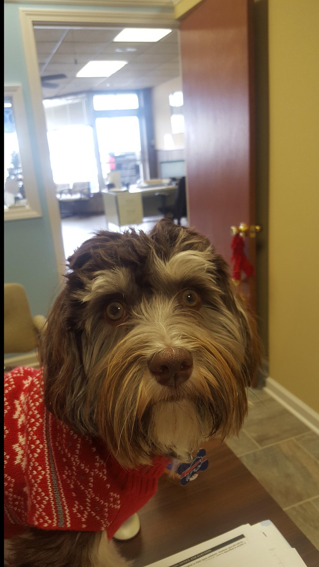 Our Greeter!