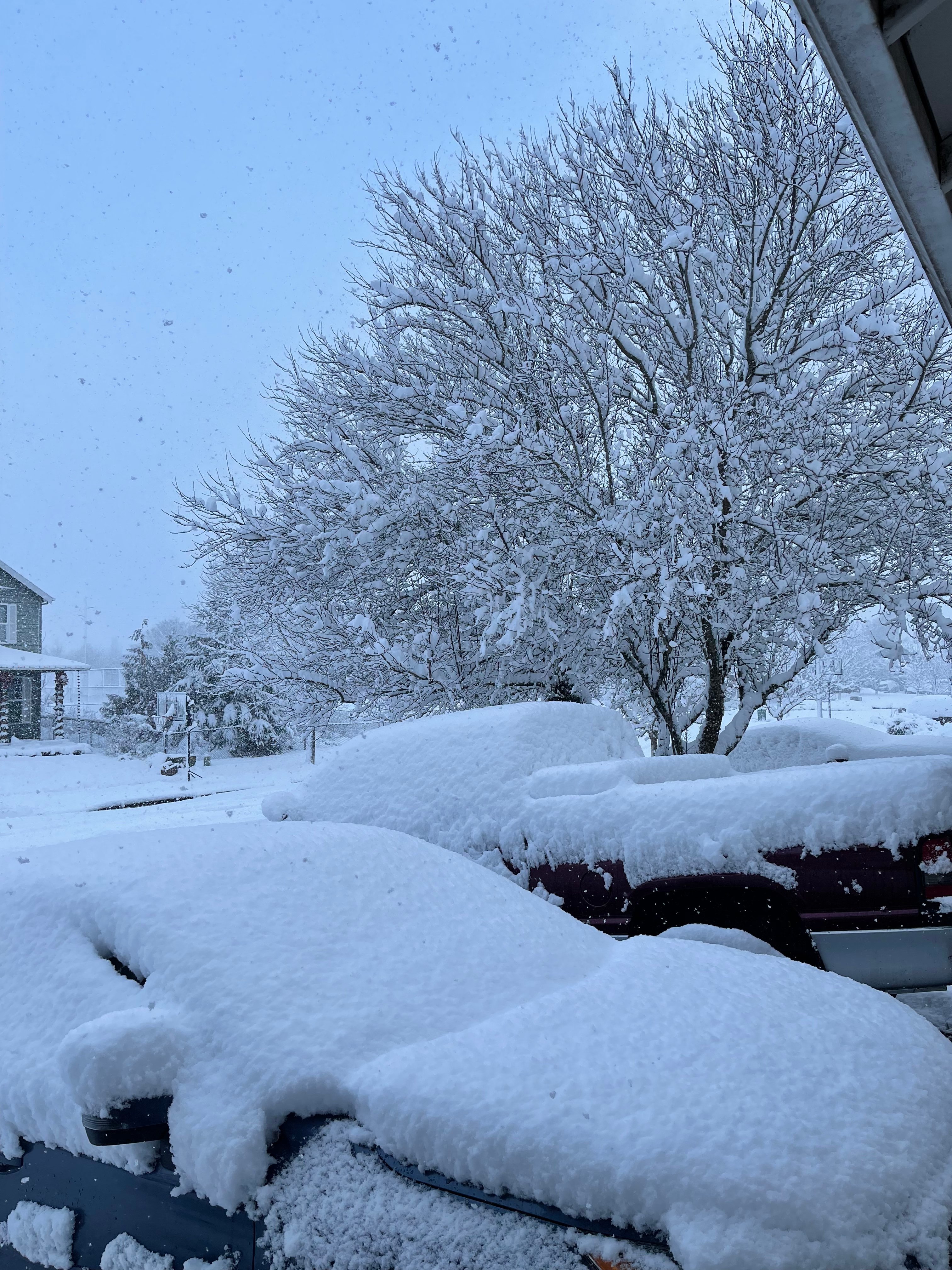 It’s crucial to have insurance during the winter months. Call us, we can help get you started.