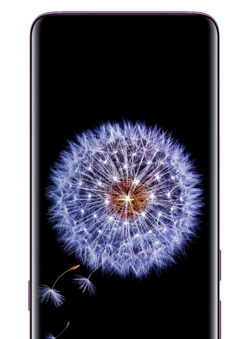 The front of the Samsung Galaxy S9| S9+ highlighting the phone's screen