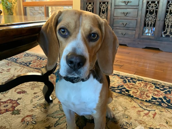 Photo of agent