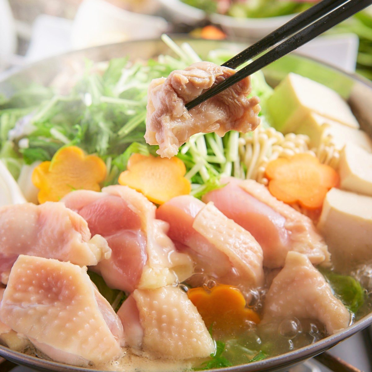 いきいき鶏の水炊き