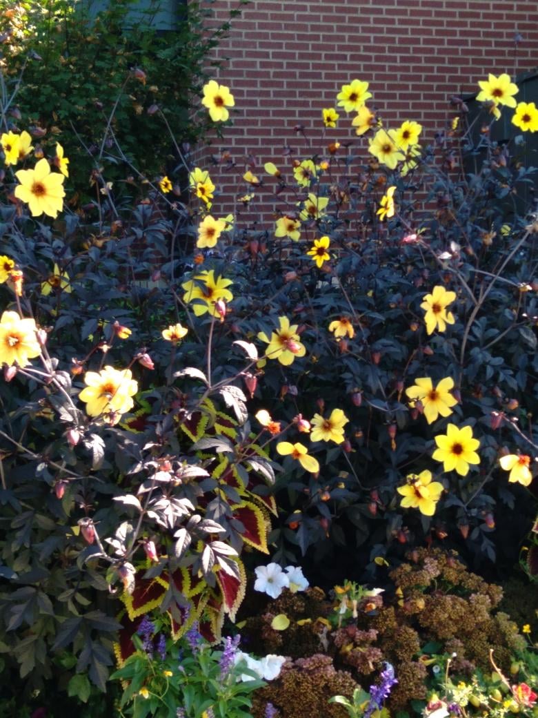 Sometimes it pays to slow down and smell the flowers.