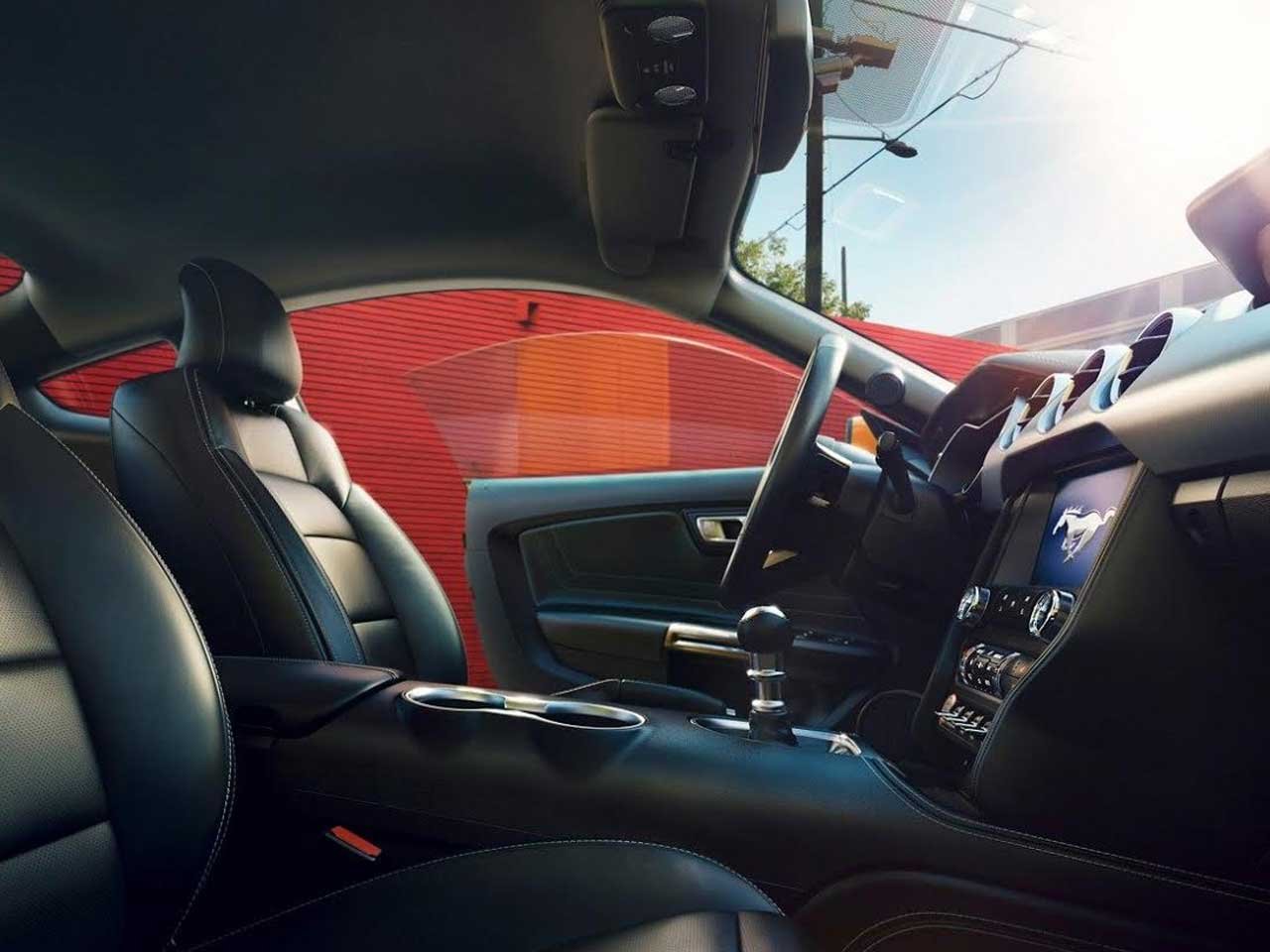 Image of Vehicle Trim