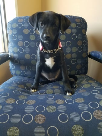 Photo of agent