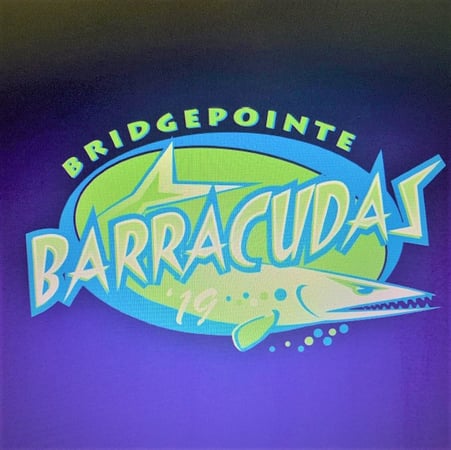 Promotional image
