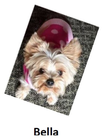 Photo of agent