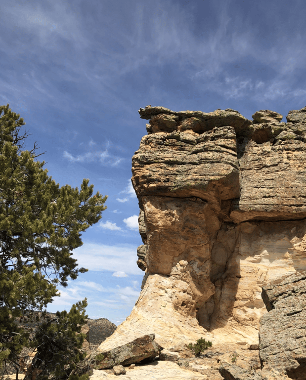 On the Uncompahgre