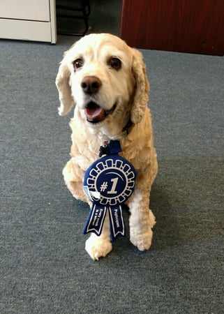 Photo of agent
