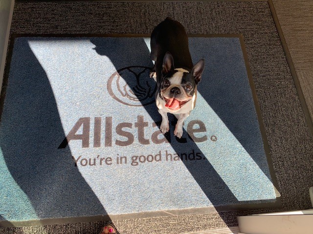 Peaches is excited to see you and cant wait to help you protect your home, life, auto even a boat.