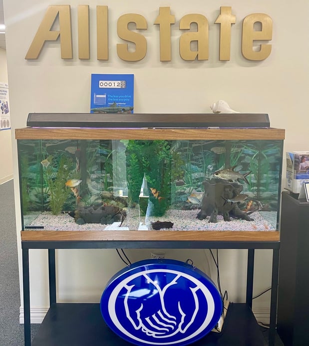 Allstate aquarium.