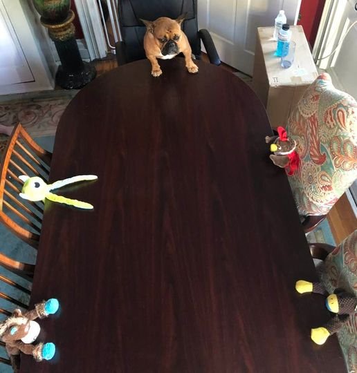 Frannie Runs our weekly office meetings!