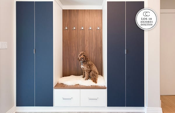 La funcion style-forward transforme una entrada en Edmonton Armarios a medida azul marino con un perro de color marrón en el centro | Armarios de California