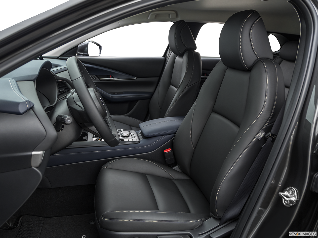 Image of Vehicle Trim
