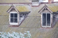 Regular maintenance, or sudden water damage won't be covered.