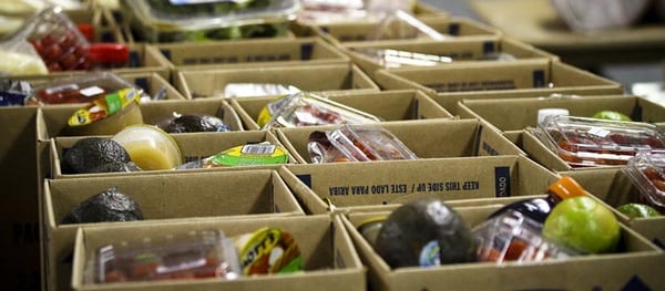 Idaho Falls Food Coalition