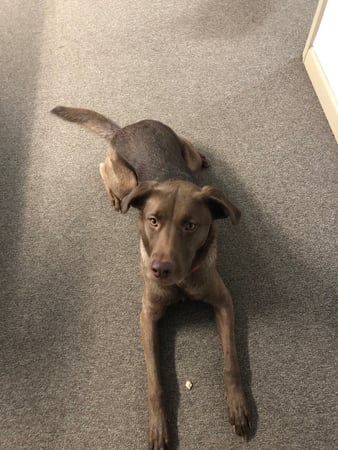 Photo of agent