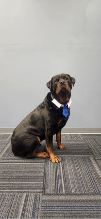 Photo of Thor
