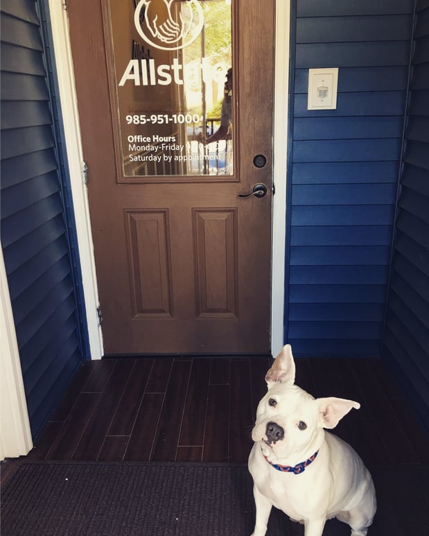 Sully ready to save you money and get you better coverage at our agency! This was our 1st location in Abita Springs but we have since moved to Mandeville