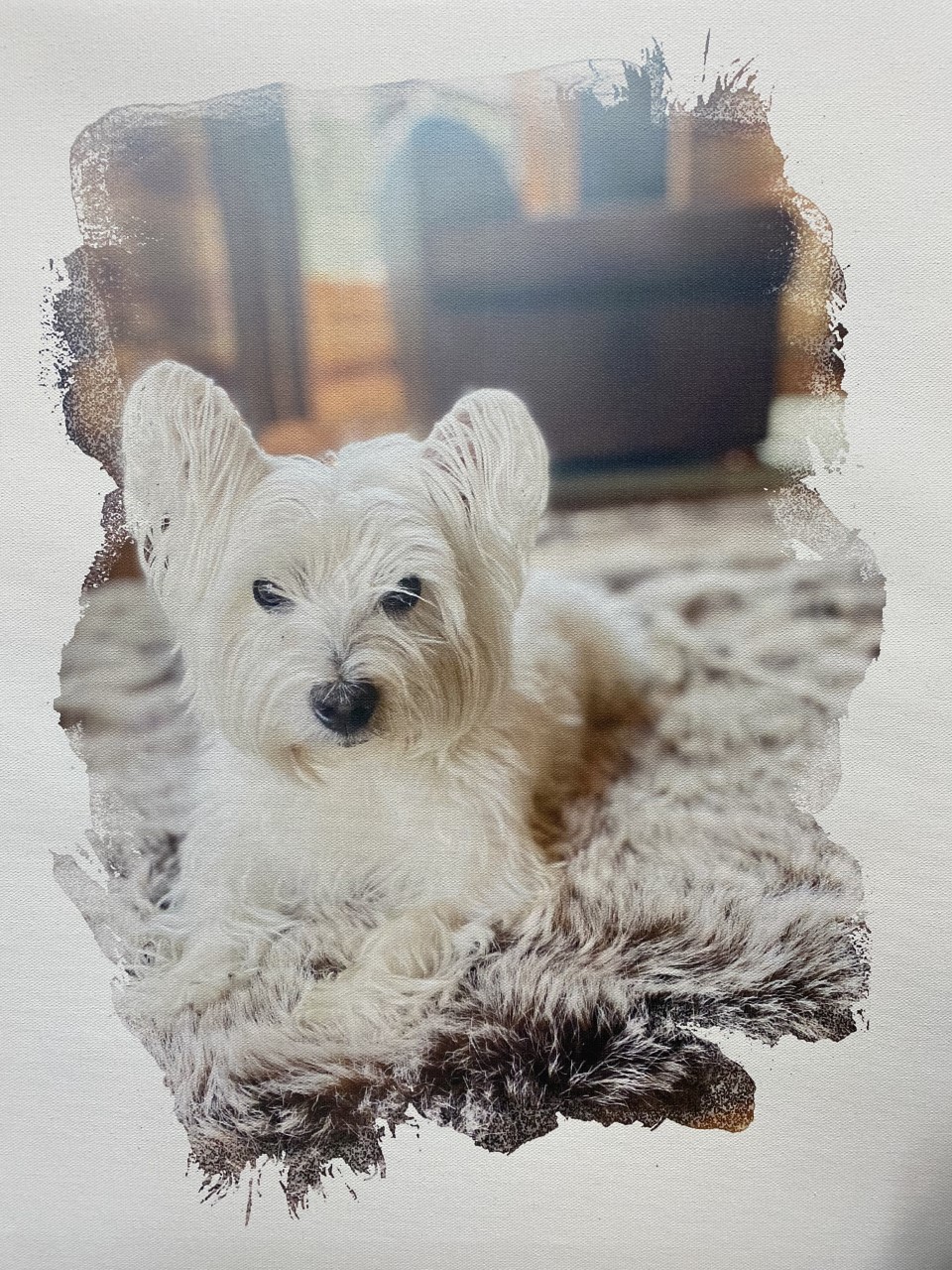 Photo of Ripley