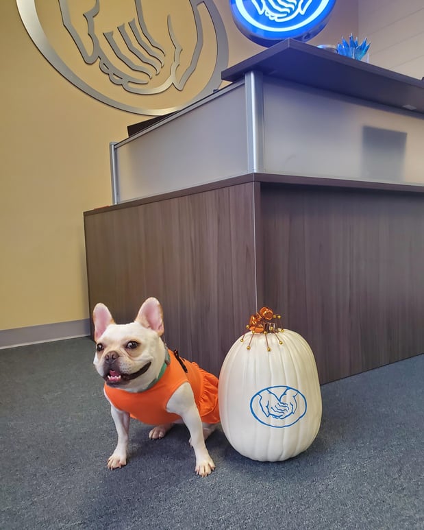Piper Our Tate Group Mascot Loves Halloween