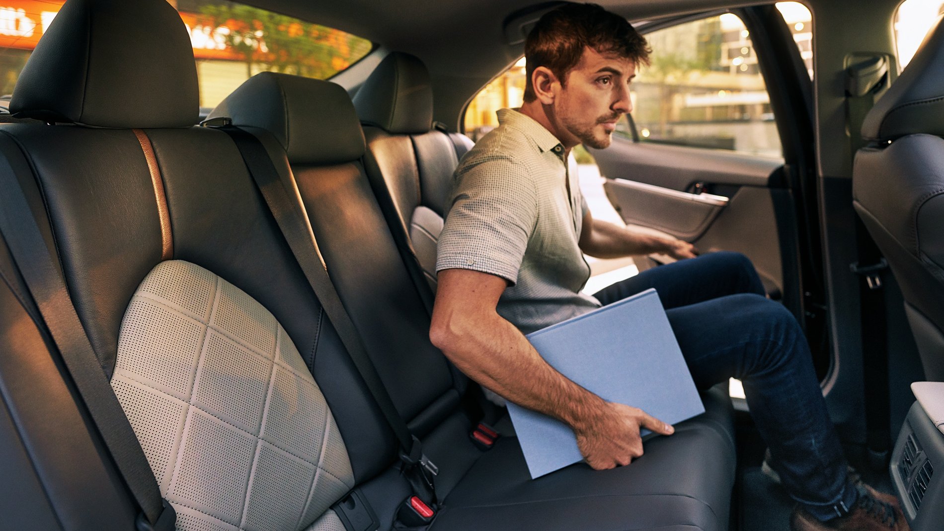 Image of Vehicle Trim
