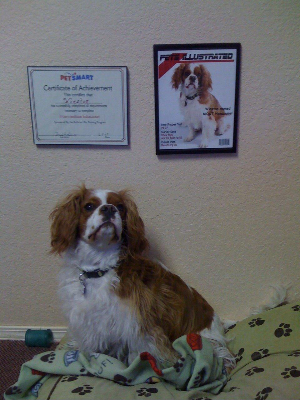 Photo of Winston