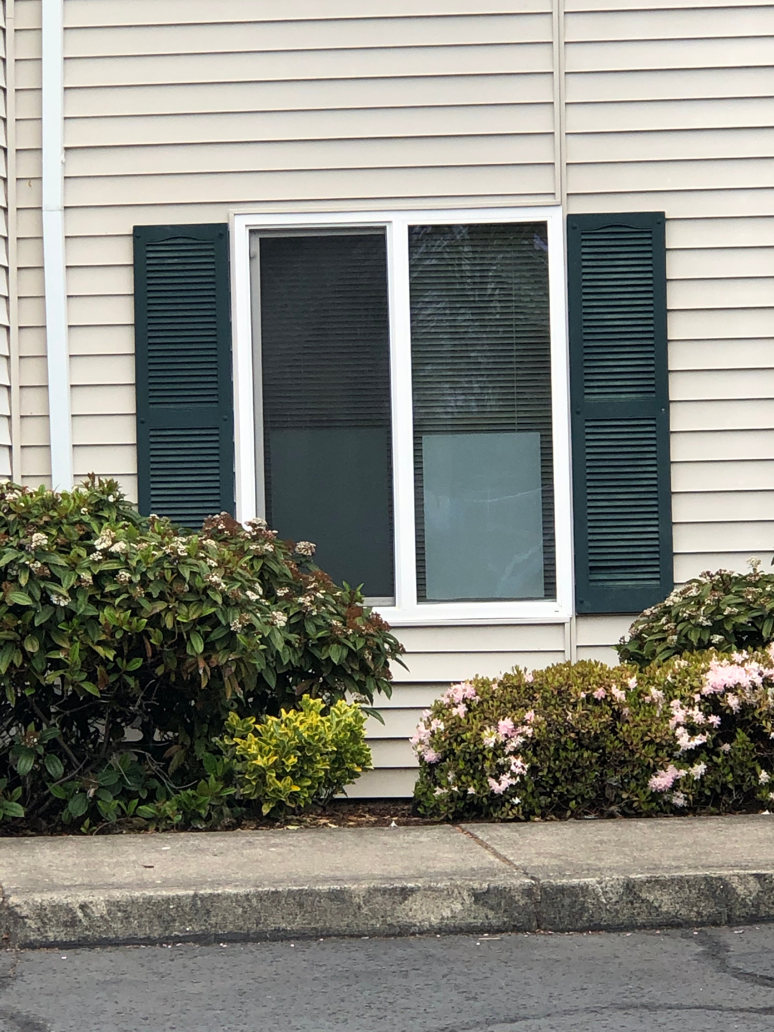 Renters insurance. We can help with that too!