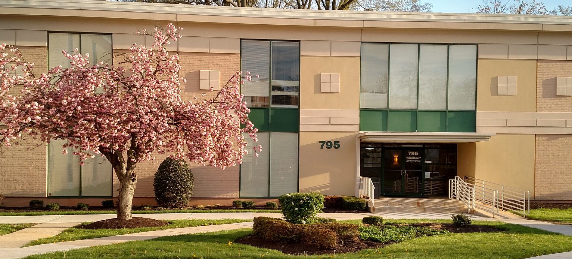 Our office. How about that beautiful tree?