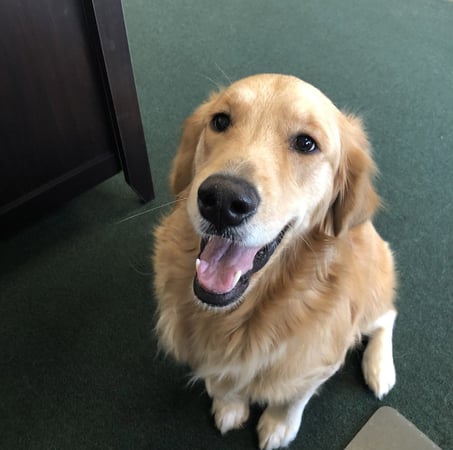 Photo of agent