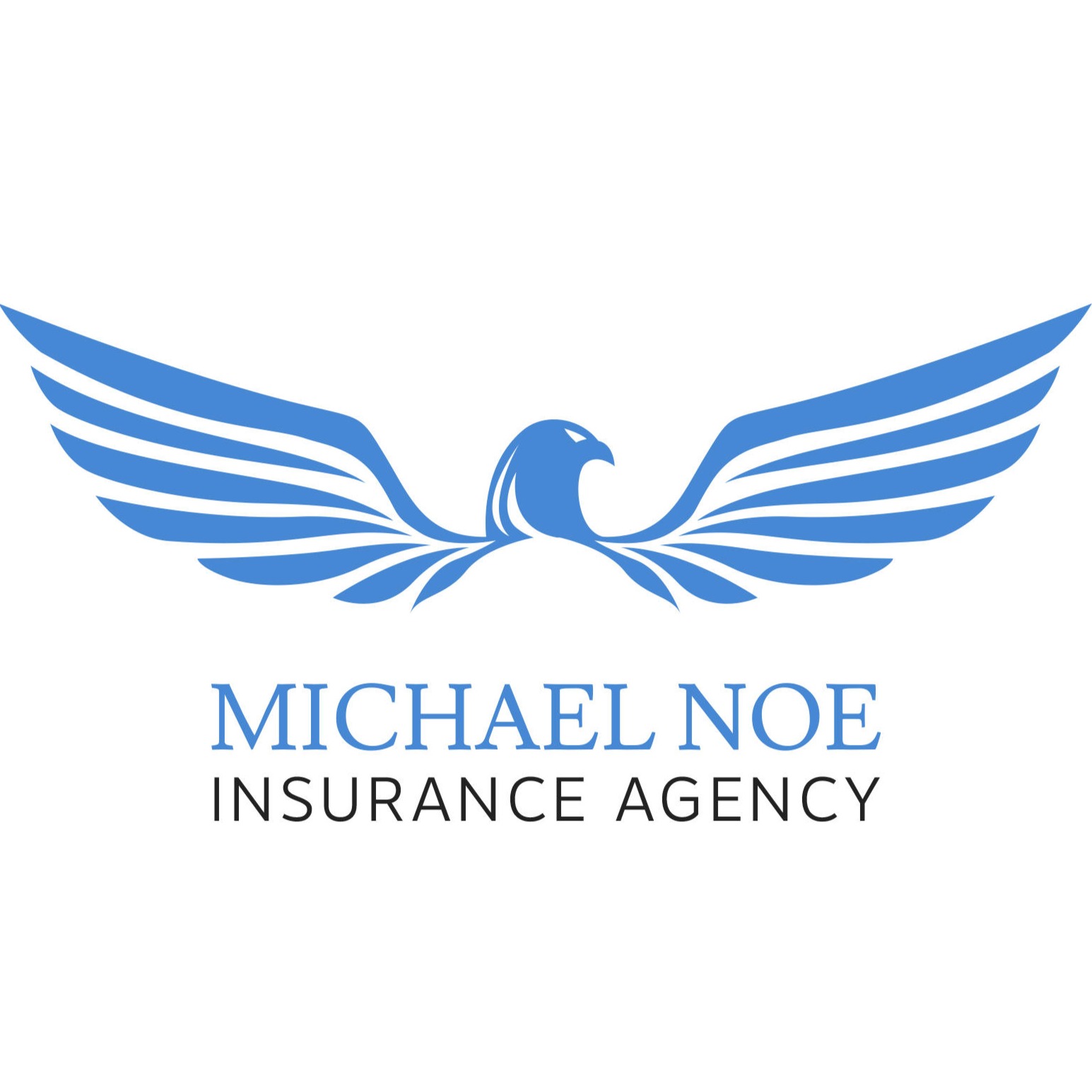 Michael Noe, Insurance Agent