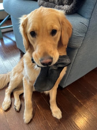 Photo of agent