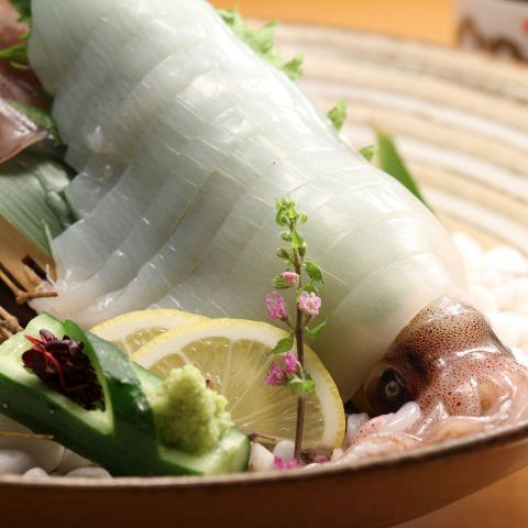 イカ姿造り