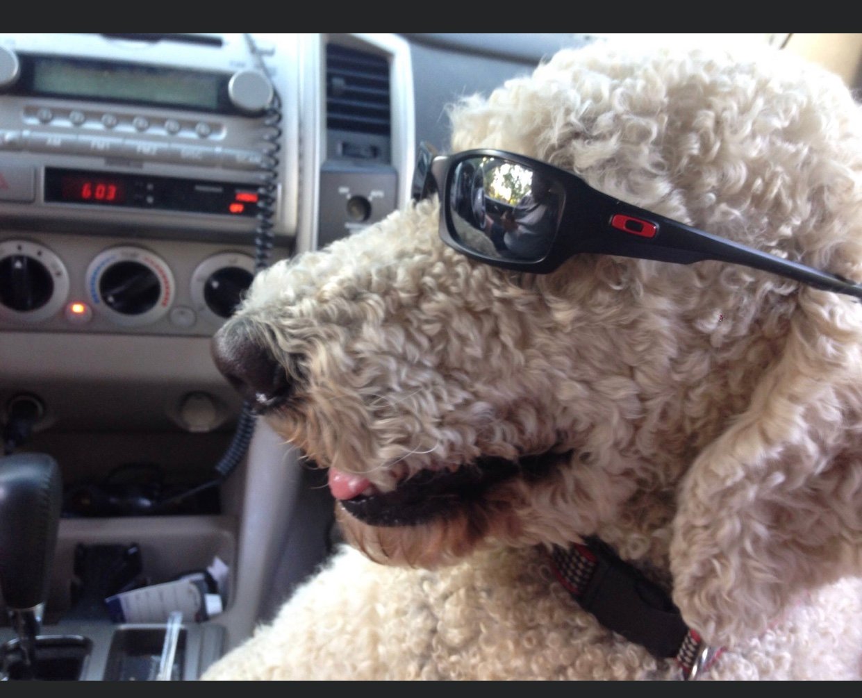 He's Cool!