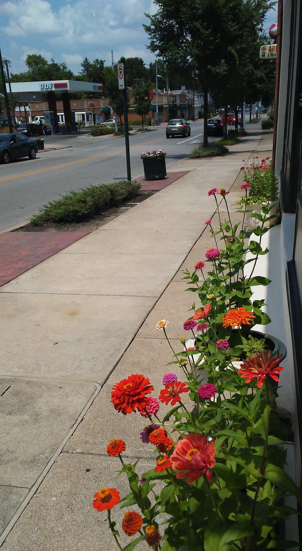 The zinnias turned out nicely this year!