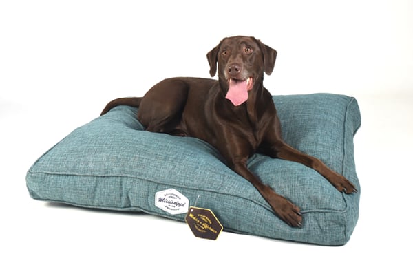 Image of Mississippi Made Dog Beds