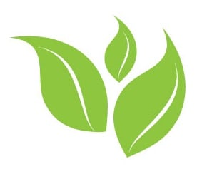 Promotional image