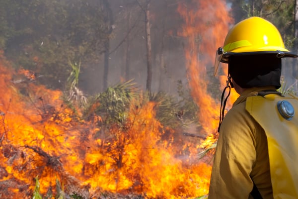 Steven Roberts - Wildfire Disaster Kit Event