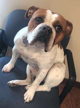 Photo of agent