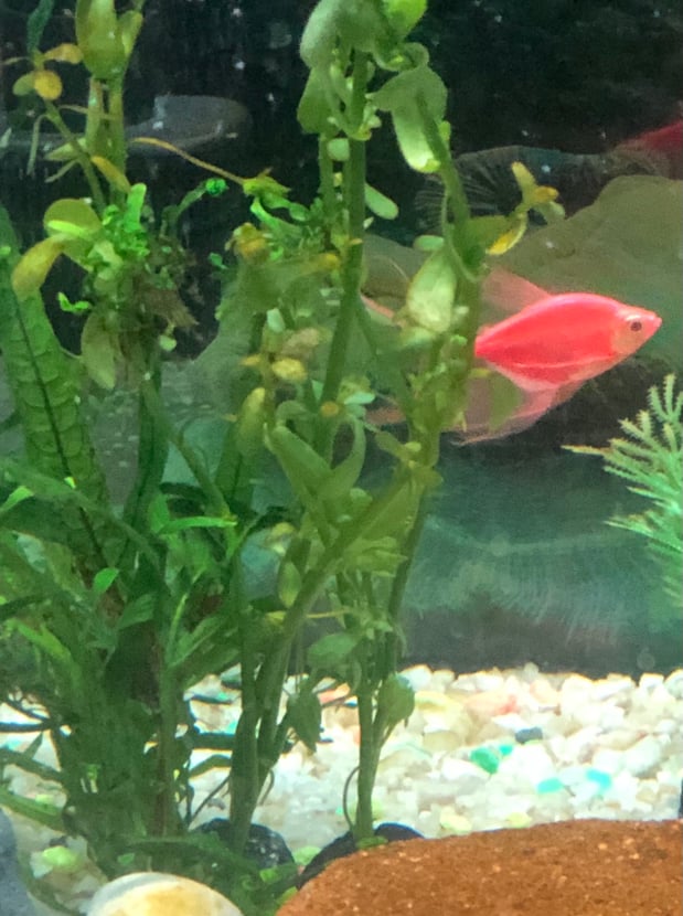 Even though Allstate can’t insure your pet fish...Allstate can however, insure your boat for fishing!