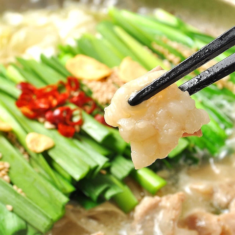 博多もつ鍋~味噌・醤油~
