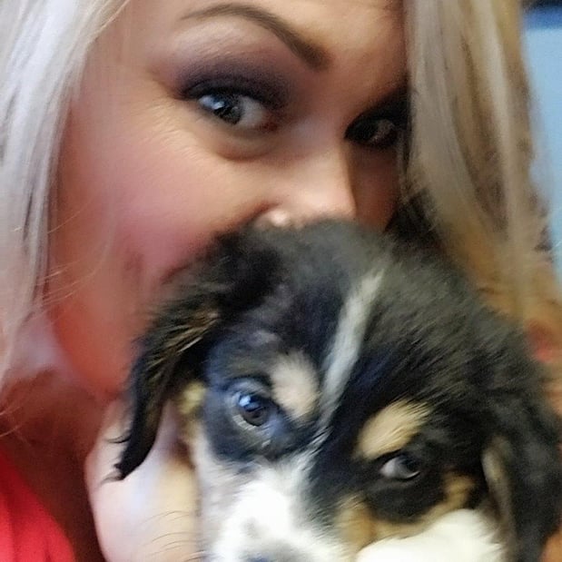 Our sweet lil foster Zoya. She has found her forever family!