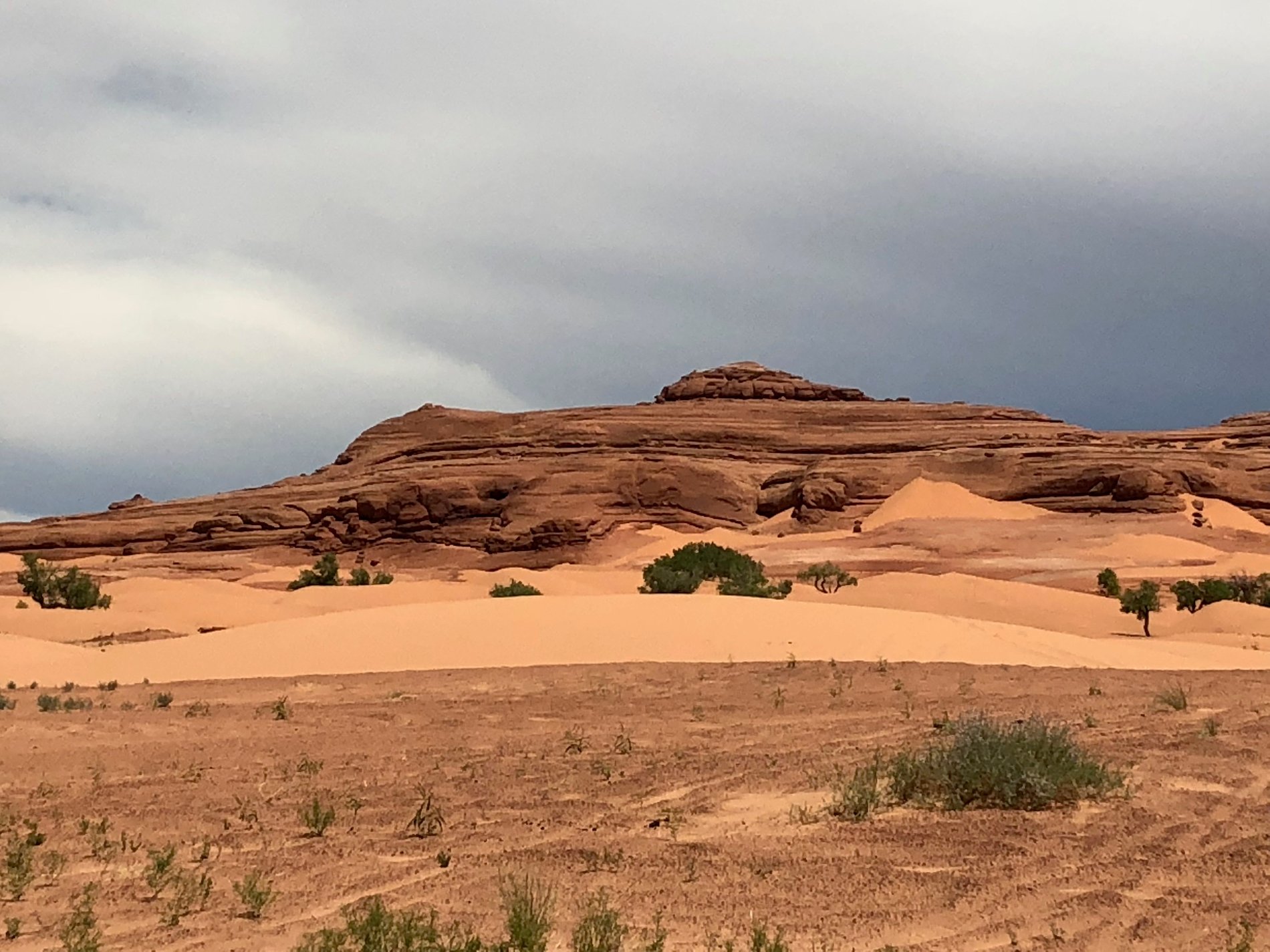 White Wash sand dunes in Utah! We are so glad to live where we do!