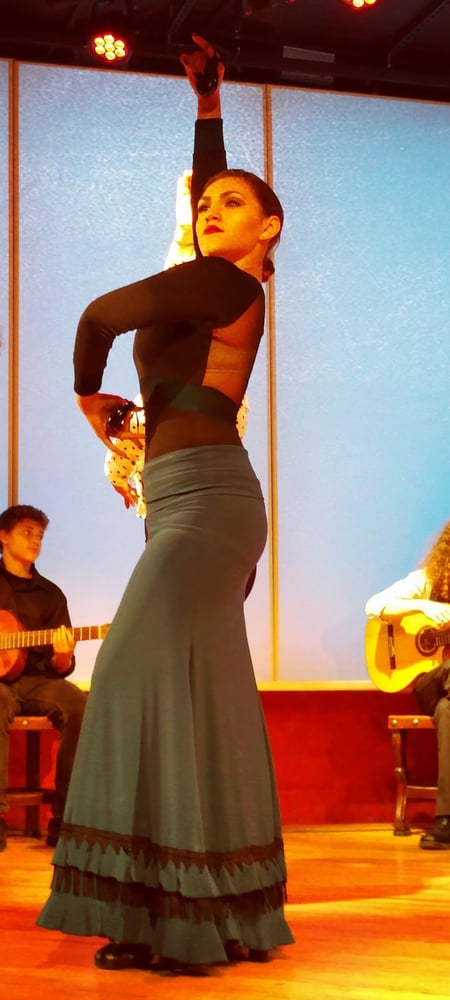 The photo shows a beautifully dressed woman performing flamenco dance