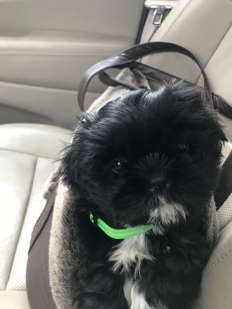 Photo of agent