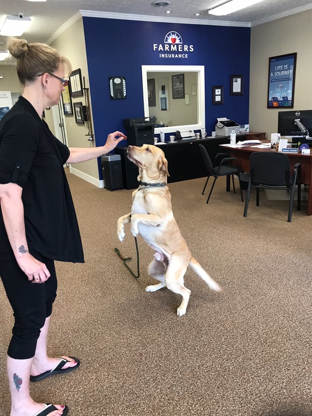 Weekly Office Spotlight Photo